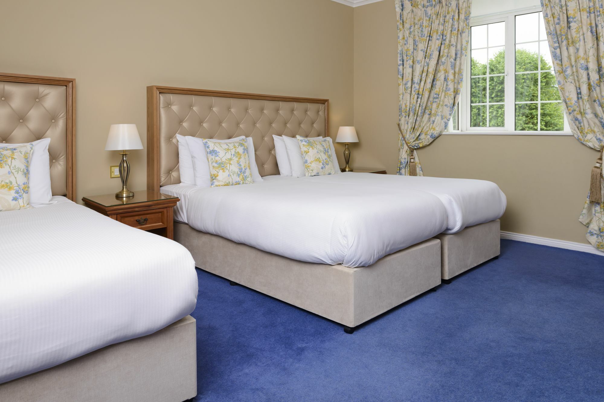 Old Weir Lodge Killarney Extérieur photo